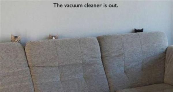 Vacuum Cleaner