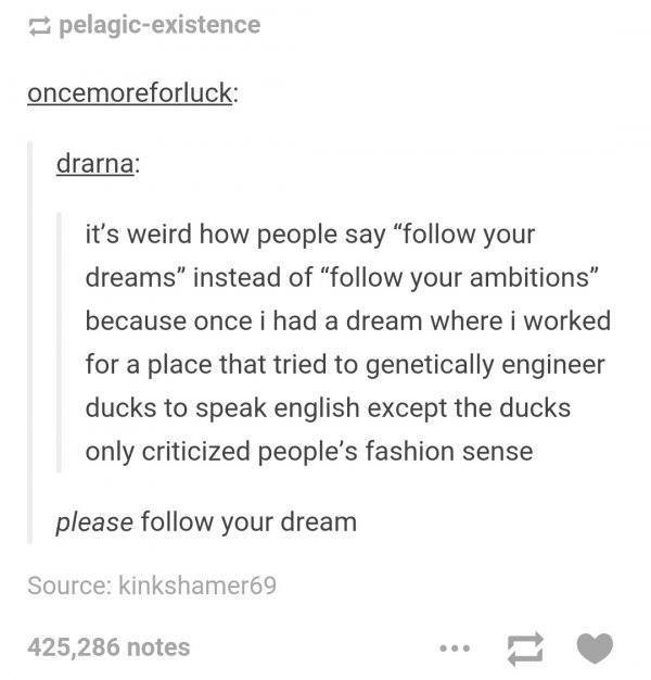 Follow Your Dreams