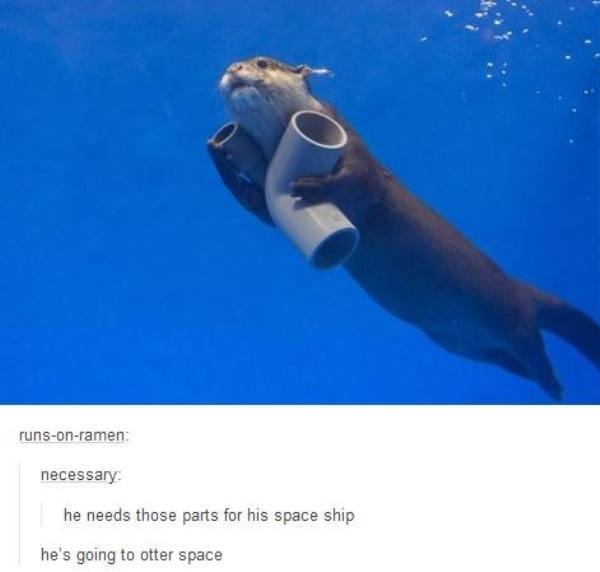 Otter Space