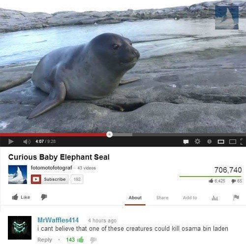 Seal