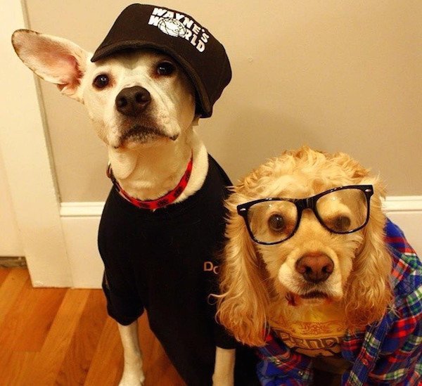 Wayne And Garth Dogs