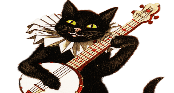 Banjo Cat