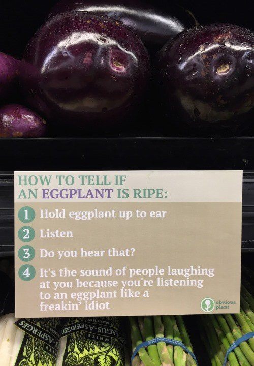 Eggplant