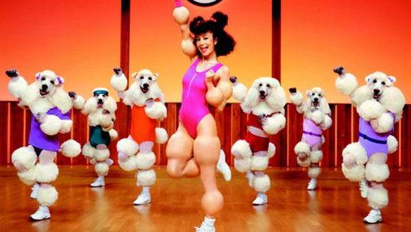 Poodle Aerobics