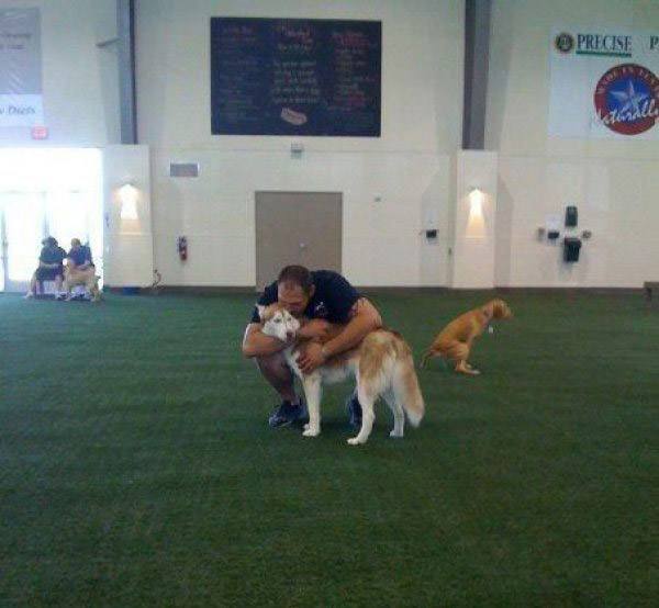 Dog School