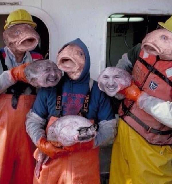 Fish Faces