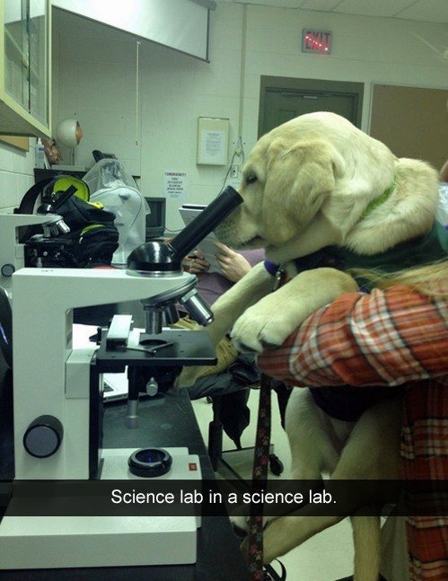 Science Lab