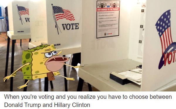 Voting