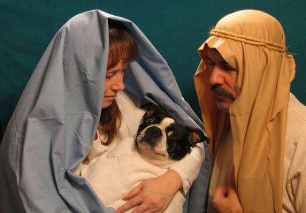 Dog Jesus