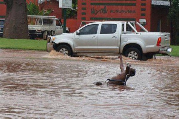 Flood Drinking