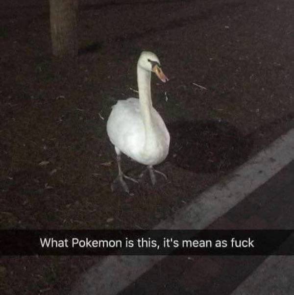 Mean Pokemon