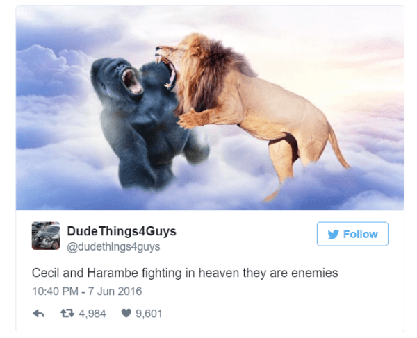 Cecil And Harambe