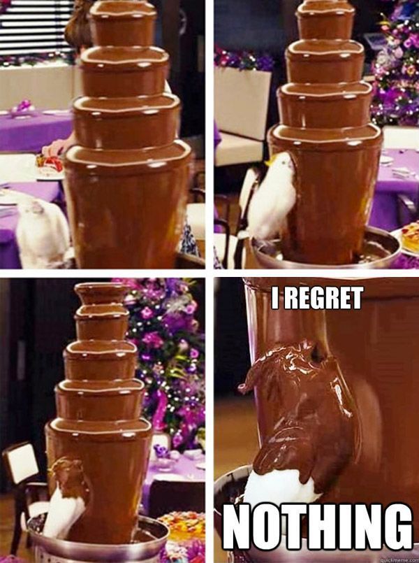 Chocolate Bird