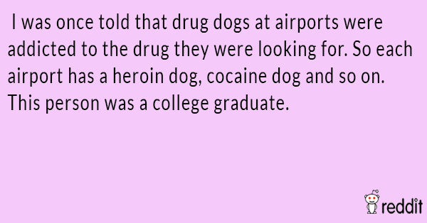 Drug Dog