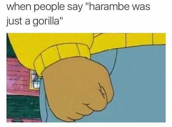 Just A Gorilla