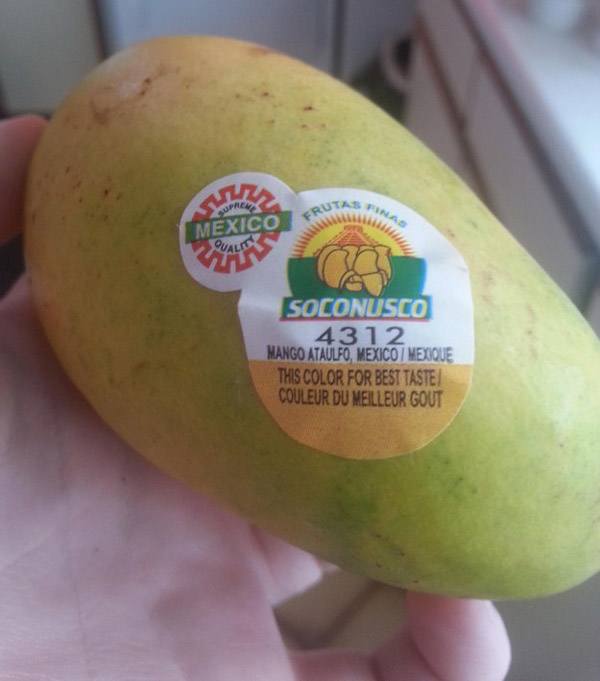 Mango Sticker