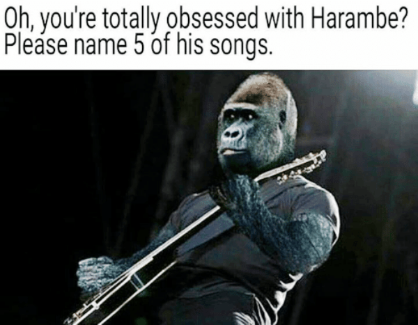 Name 5 Songs