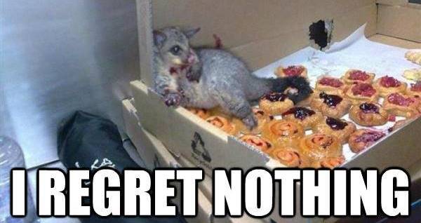 Regret Nothing Possum