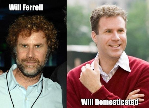 Will Ferrell Pun