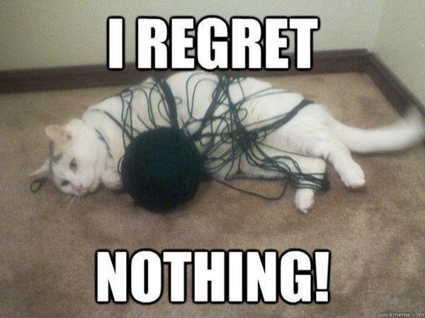 Yarn Cat