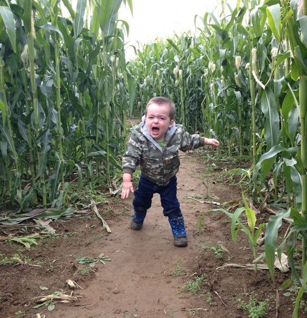 Cornmaze Terror