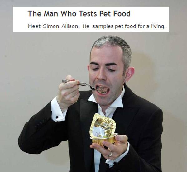 Dog Food Taster