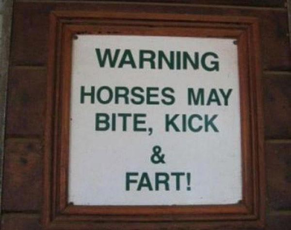 Fart Horse