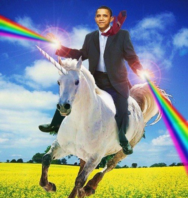 Gay Obama