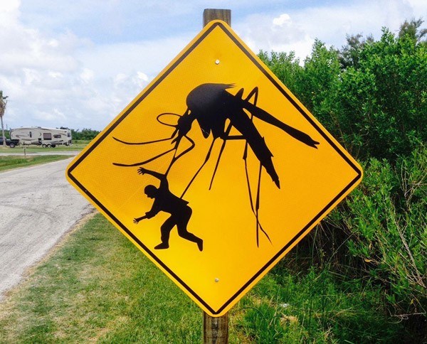 Giant Mosquitoes