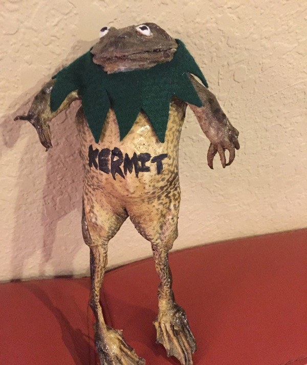 Kermit