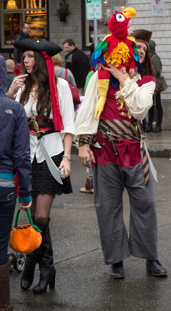 Baby Parrot With Pirate Mom And Dad