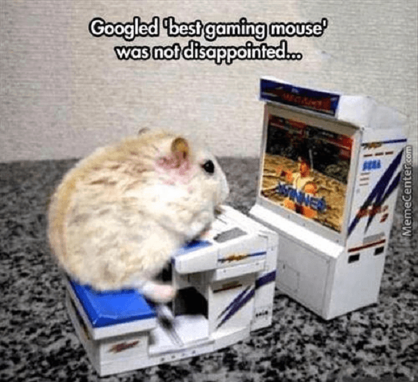 Best Gaming Mouse