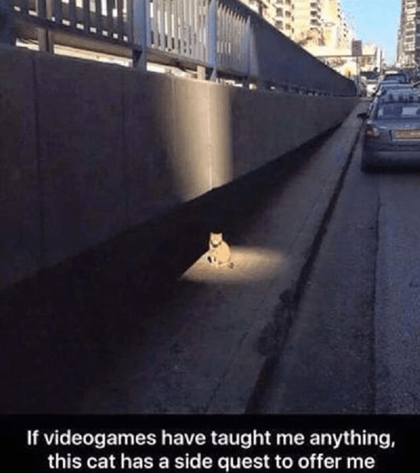 Cat Side Quest