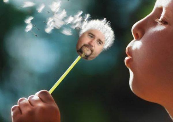 Funny Guy Fieri Memes