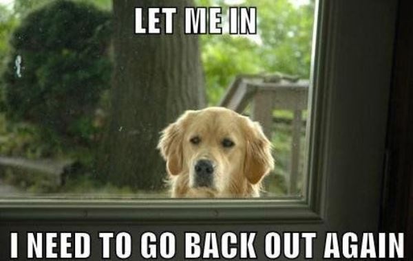 Let Me In