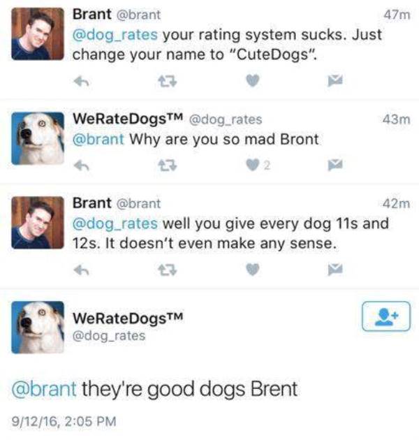 We Rate Dogs