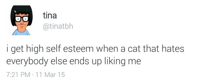 Cat Tweets