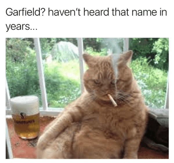 Garfield