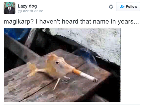 Magikarp Name In Years