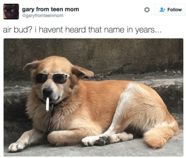 Retired Air Bud