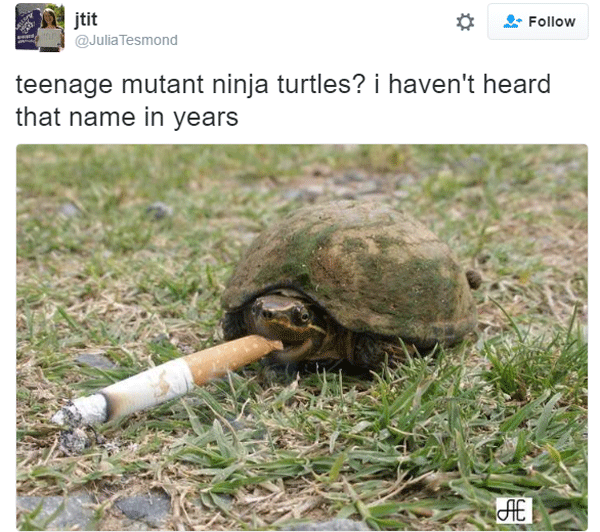 Retired Tmnt