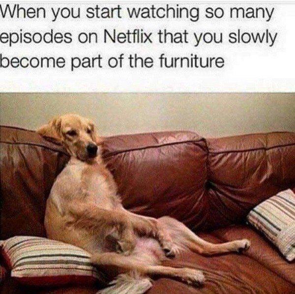 Become The Furniture Funny Netflix Memes