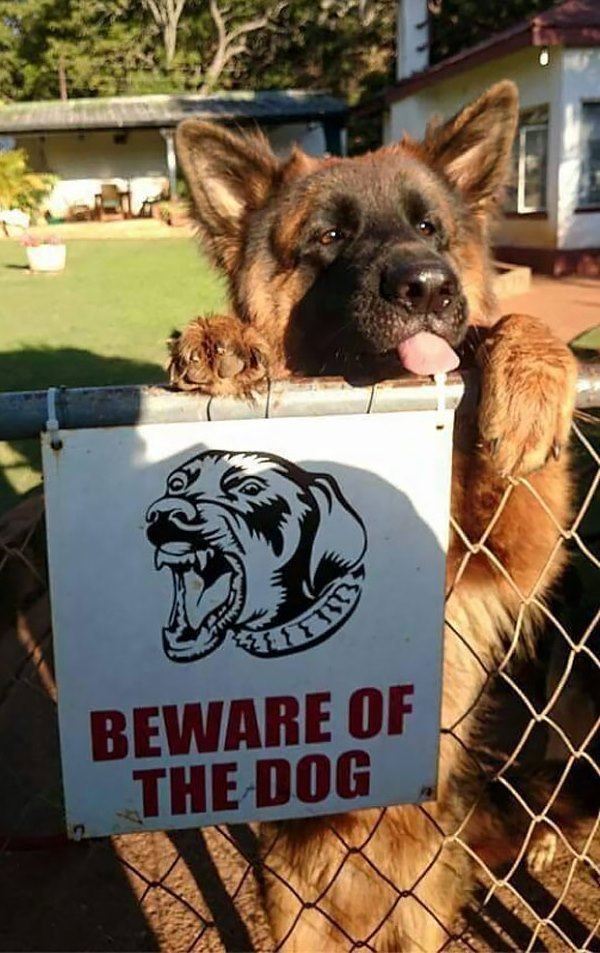 Beware Of Cuteness