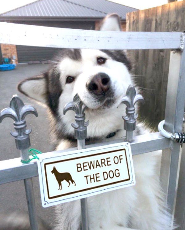 Beware Of The Dog