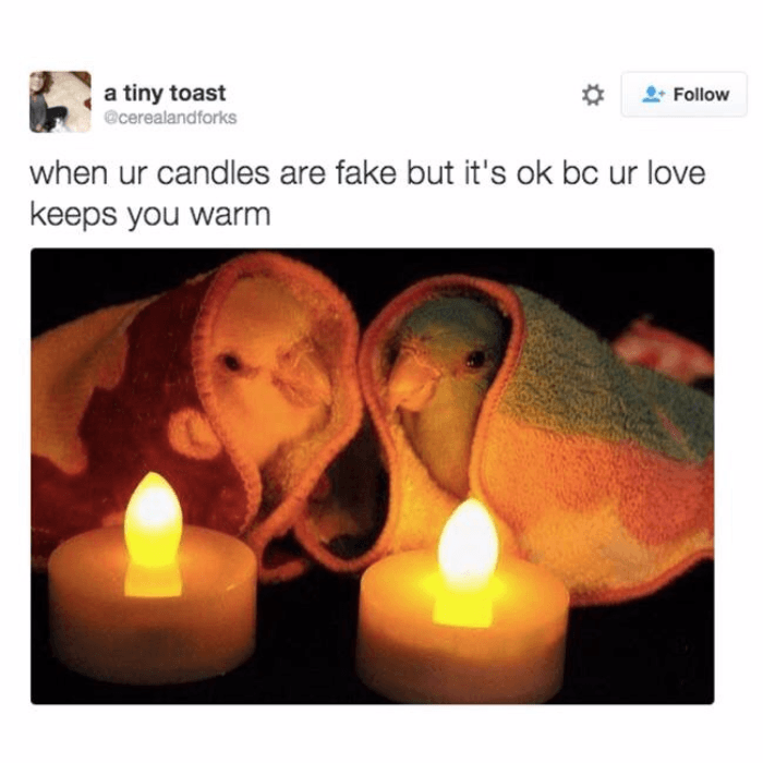 Candles