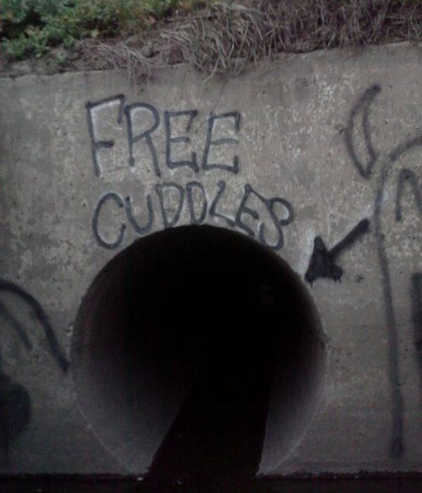 Free Cuddles