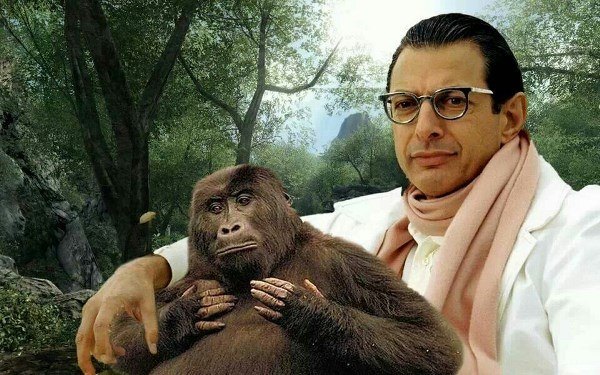 Funny Jeff Goldblum Pictures