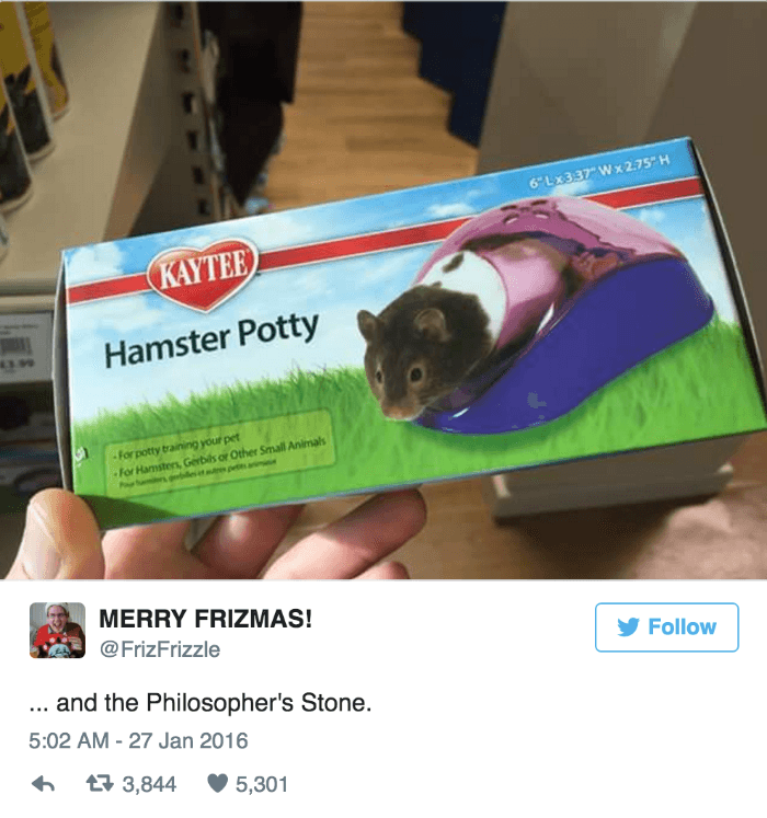 Hamster Potty