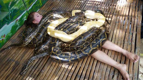 Snake Girl