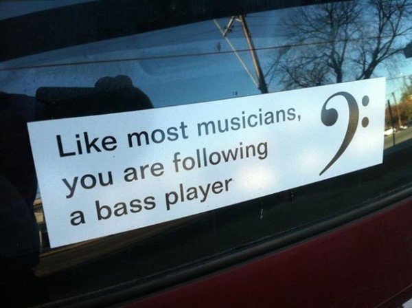 Bass Player